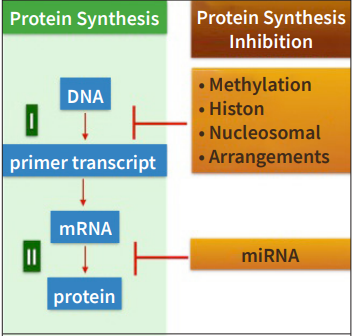 New Bio-Markers: Cell-Free DNAs and MICRO-RNAs